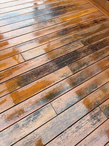 IMG_1133.jpeg IMG_1133.jpeg