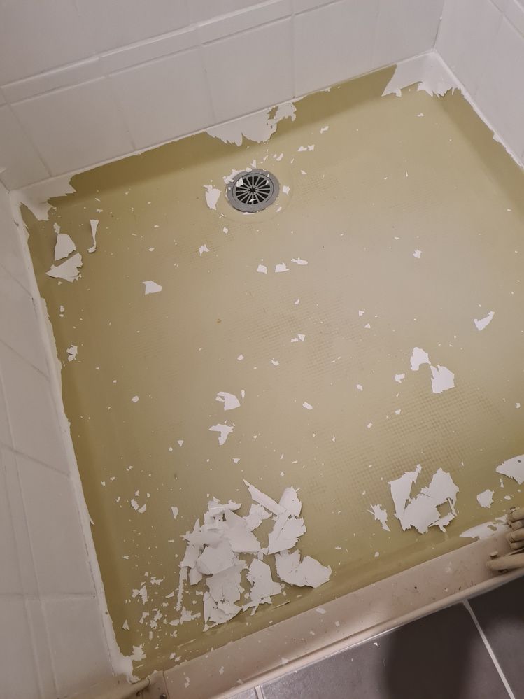 20210801_200259.jpg 20210801_200259.jpg