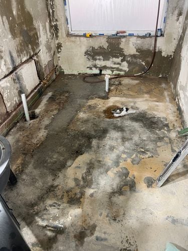 IMG_6273.jpeg IMG_6273.jpeg