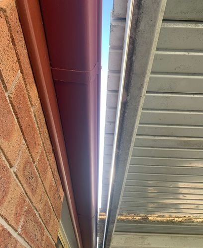 IMG_8762.jpeg IMG_8762.jpeg