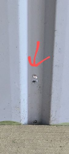 1000041129.jpg 1000041129.jpg