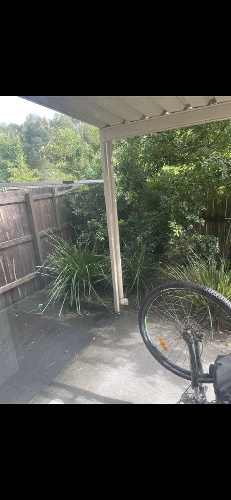 Back yard.jfif Back yard.jfif