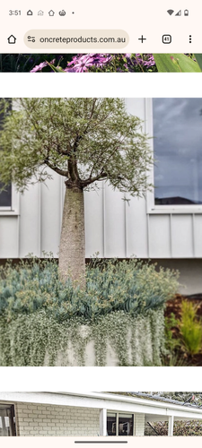 Screenshot_20231220-155133.png Screenshot_20231220-155133.png