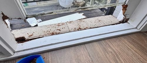 IMG_2614.jpeg IMG_2614.jpeg