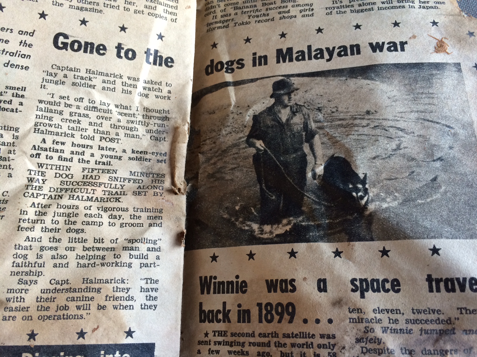 IMG_1172.JPG IMG_1172.JPG