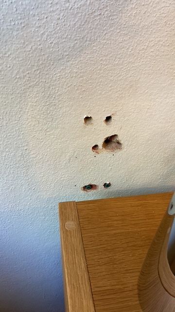 C2A7EF56-A673-4677-B4C8-42982A0E874D.JPG C2A7EF56-A673-4677-B4C8-42982A0E874D.JPG