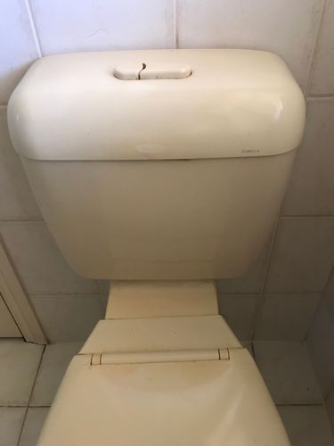 67F289BE-5828-465F-854A-865284D4B92D.jpeg 67F289BE-5828-465F-854A-865284D4B92D.jpeg