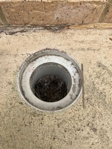 IMG_5554.jpeg IMG_5554.jpeg