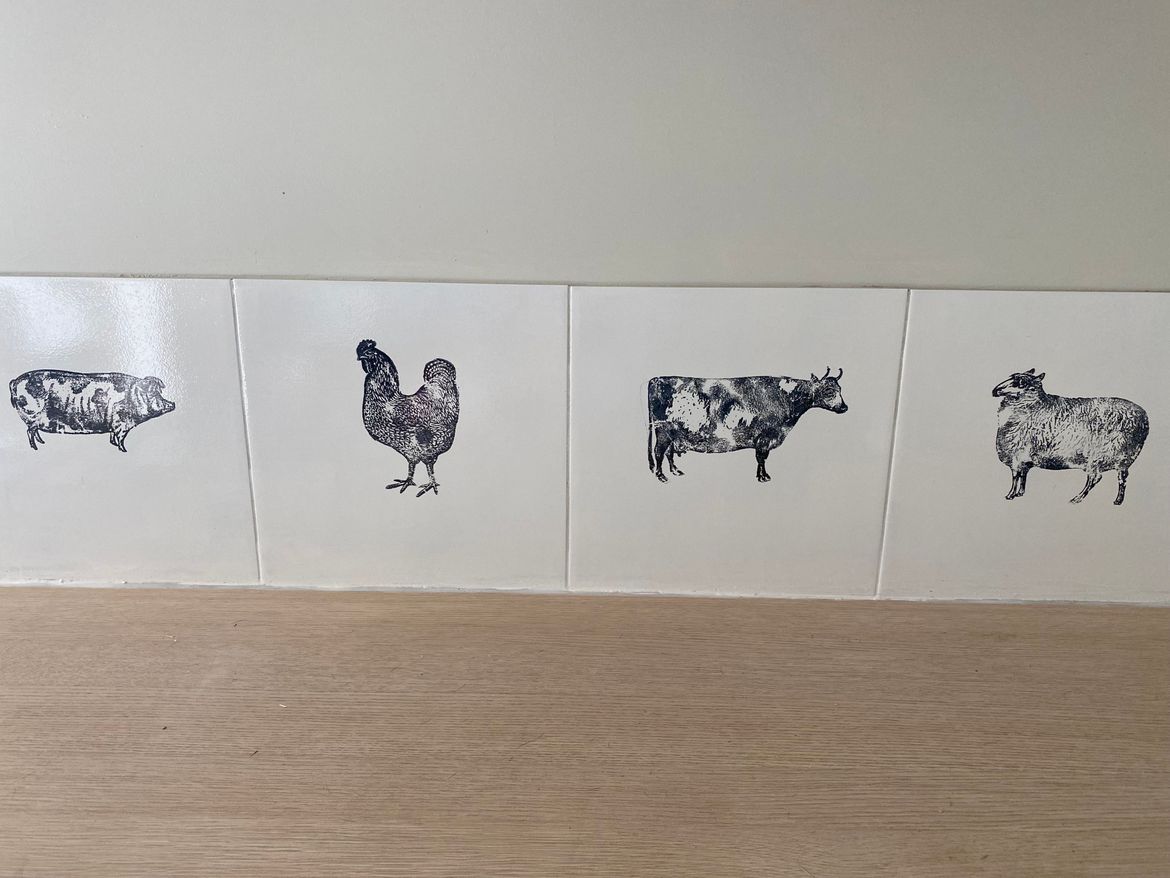 IMG_4641.jpeg IMG_4641.jpeg