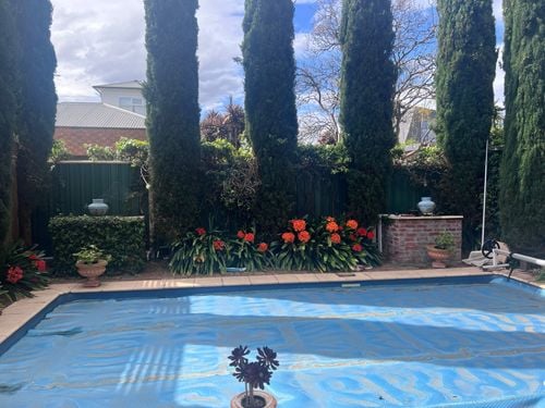 IMG_5857.jpeg IMG_5857.jpeg