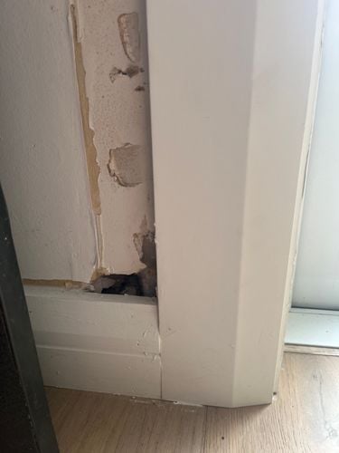 IMG_6615.jpeg IMG_6615.jpeg