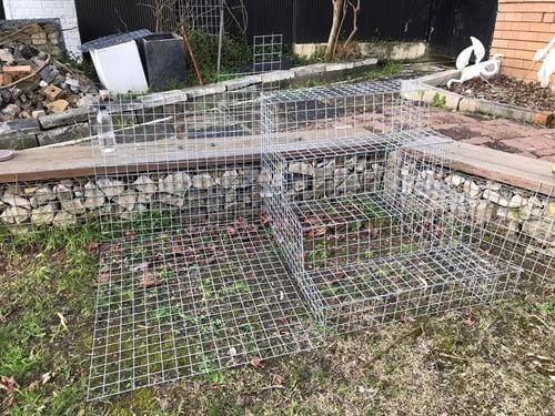 61 14-07-2024.jpg 61 14-07-2024.jpg