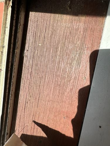 IMG_2704.jpeg IMG_2704.jpeg