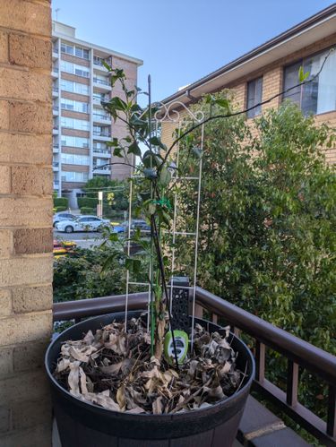 1000012996.jpg 1000012996.jpg