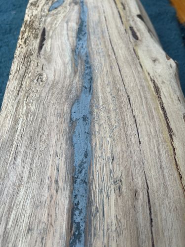 IMG_9578.jpeg IMG_9578.jpeg