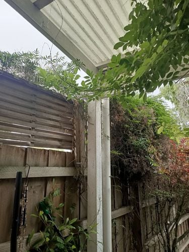 17698417849436642822713041686277.jpg 17698417849436642822713041686277.jpg