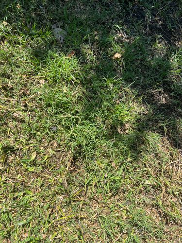 IMG_0226.jpeg IMG_0226.jpeg