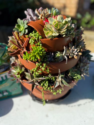 IMG_1228.jpeg IMG_1228.jpeg