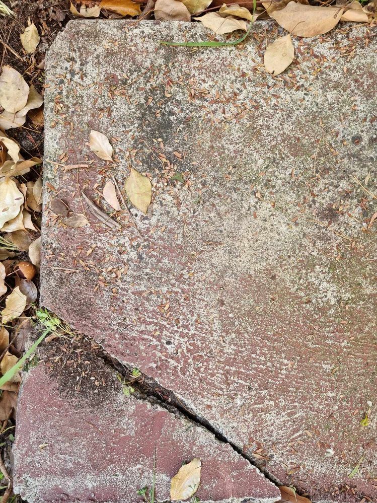 458373670_2942052529279110_3306640091337342620_n.jpg 458373670_2942052529279110_3306640091337342620_n.jpg