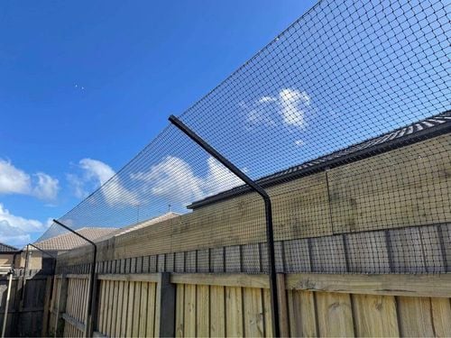 IMG_4670.jpeg IMG_4670.jpeg