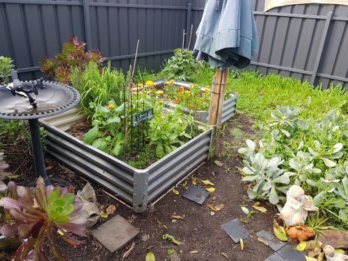 20210825_093426 -3.jpg 20210825_093426 -3.jpg