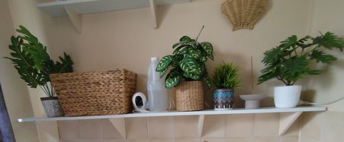 IMG_20251207_090407-1.jpg IMG_20251207_090407-1.jpg