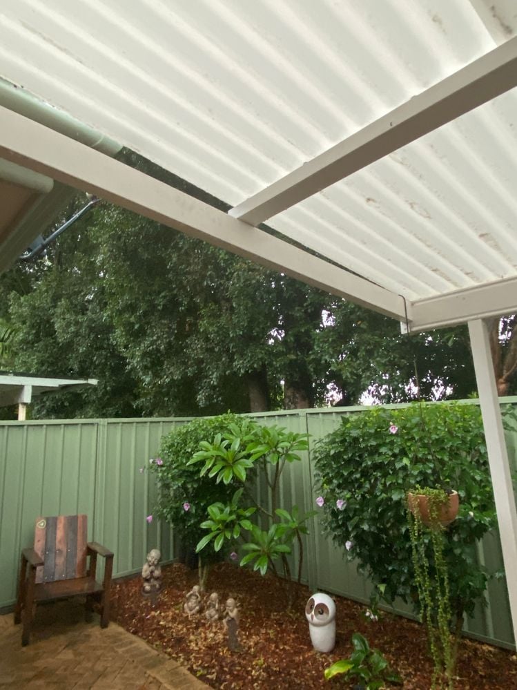 IMG_7905.JPG IMG_7905.JPG