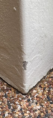 1000039367.png 1000039367.png