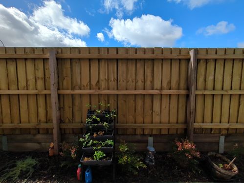 1000005170.jpg 1000005170.jpg