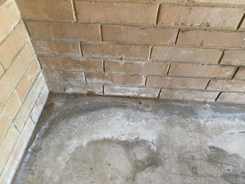 IMG_2577.jpeg IMG_2577.jpeg