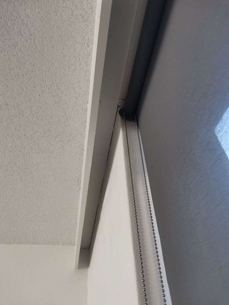 IMG_20241030_184313.jpg IMG_20241030_184313.jpg