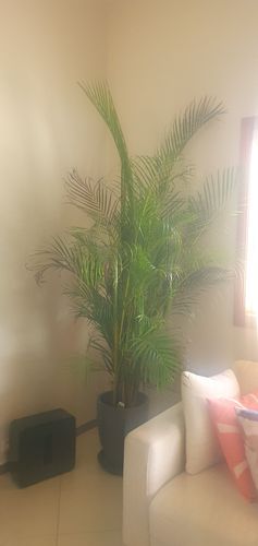 20240102_083743.jpg 20240102_083743.jpg