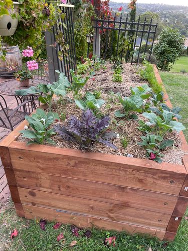 61B37273-53B0-4478-A134-CDBA3A8CDF5F.jpeg 61B37273-53B0-4478-A134-CDBA3A8CDF5F.jpeg