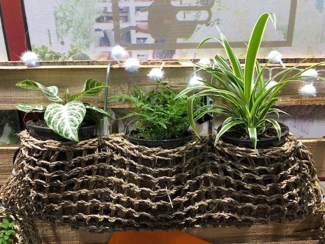 Image 3.jpg Image 3.jpg