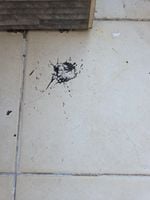 20250806_075651.jpg 20250806_075651.jpg