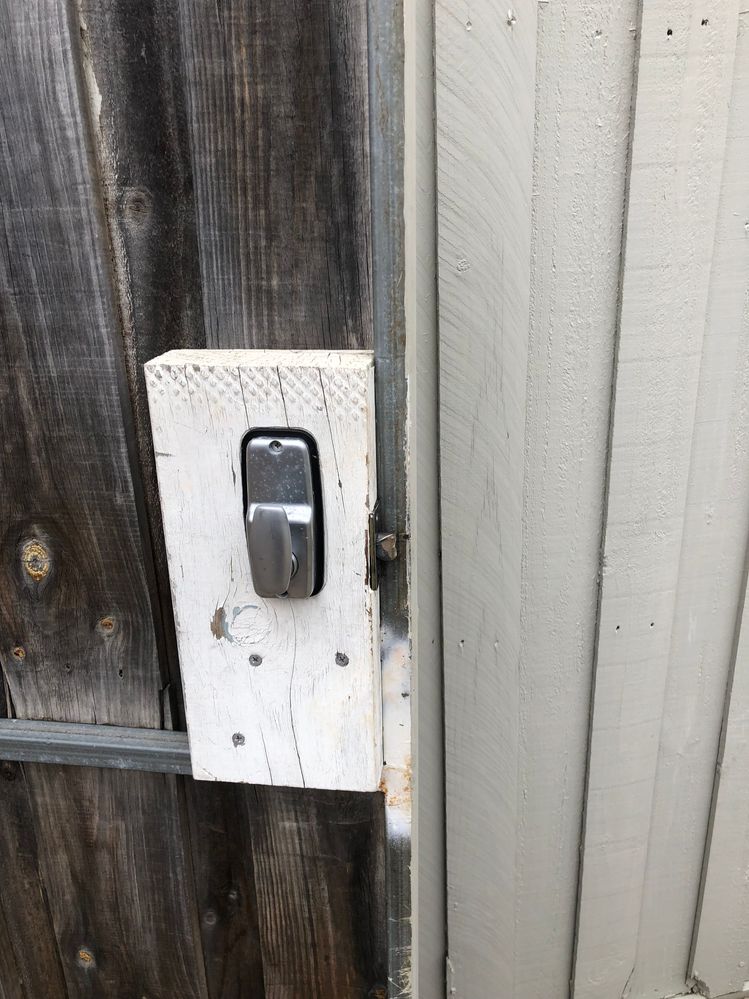 IMG_7064.jpeg IMG_7064.jpeg