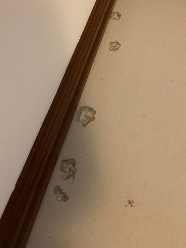 IMG_1597.jpeg IMG_1597.jpeg