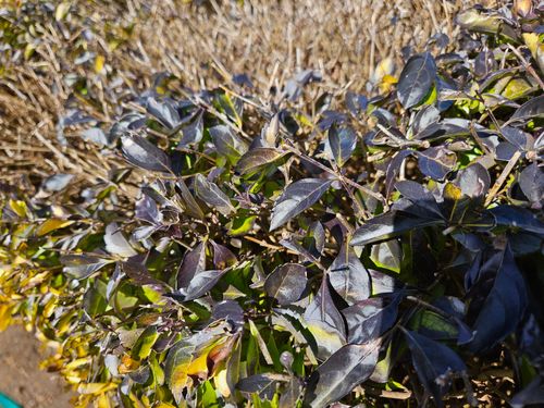 20230819_121424.jpg 20230819_121424.jpg