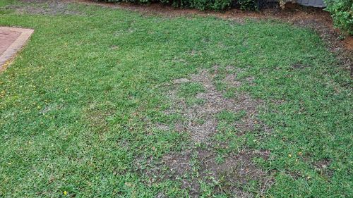 1000028112.jpg 1000028112.jpg