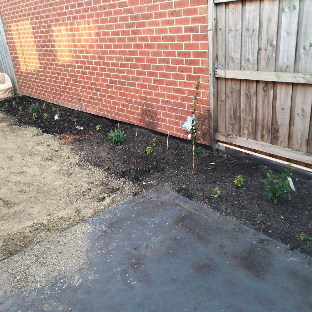 Digging out the garden bed.jpg Digging out the garden bed.jpg