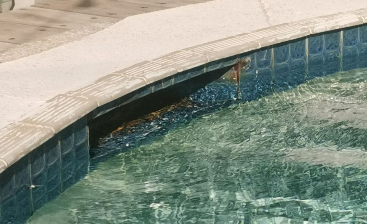 pool intake.jpg pool intake.jpg