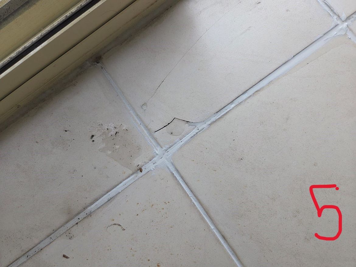 Photo # 5.jpeg Photo # 5.jpeg