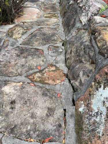 terrywang_0-1677033337980.png terrywang_0-1677033337980.png