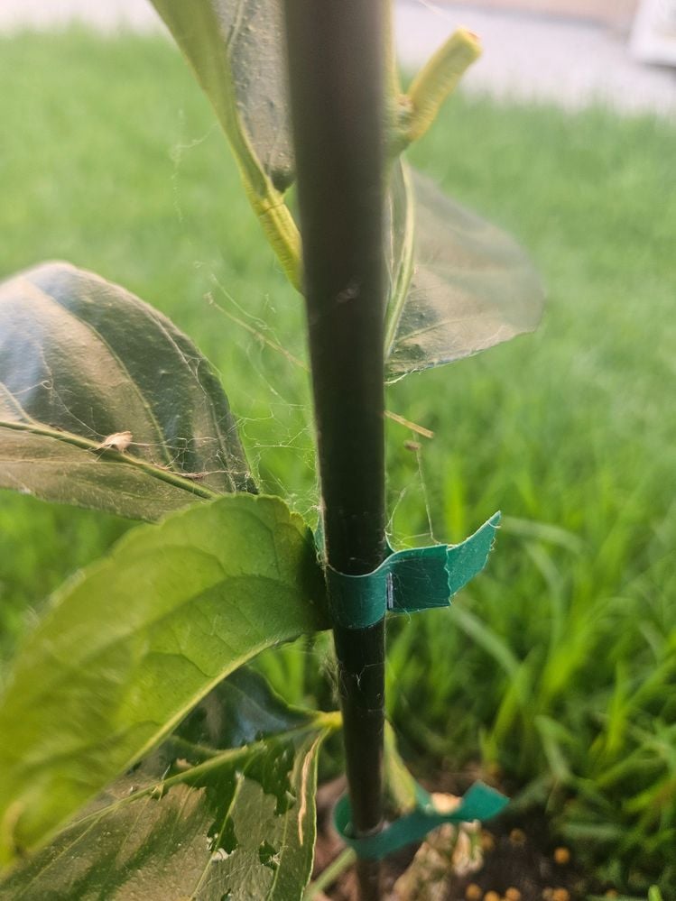 20240109_194809.jpg 20240109_194809.jpg