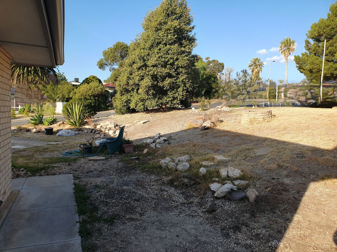 20240510_155312~2.jpg 20240510_155312~2.jpg