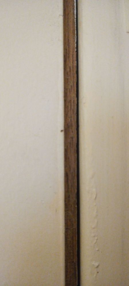 IMG_20220307_153552.jpg IMG_20220307_153552.jpg