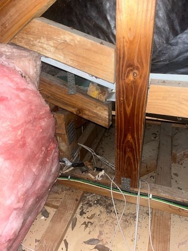 IMG_9358.jpeg IMG_9358.jpeg