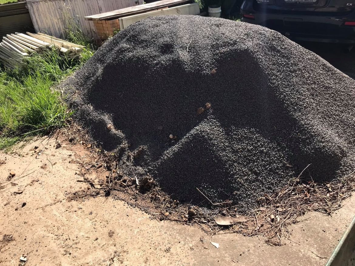 41 16-11-2021.jpg 41 16-11-2021.jpg