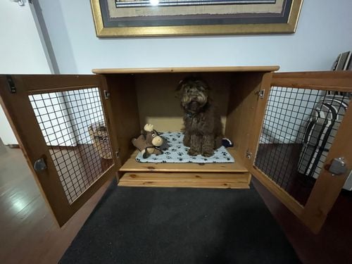 E284C39C-43D7-4AF2-A3E3-A3428F140A35.jpeg E284C39C-43D7-4AF2-A3E3-A3428F140A35.jpeg