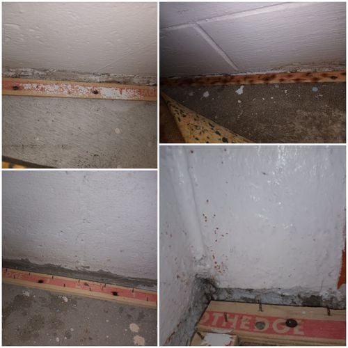 20240326_113114.jpg 20240326_113114.jpg